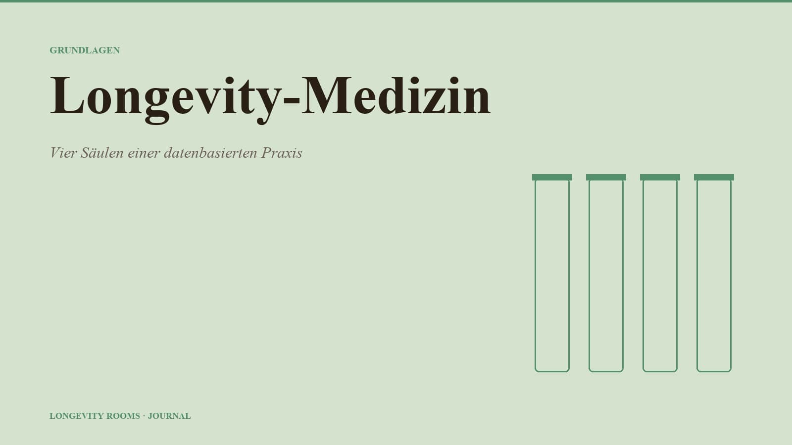 Editorial Illustration — vier Säulen der Longevity-Medizin